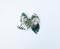 Fern
